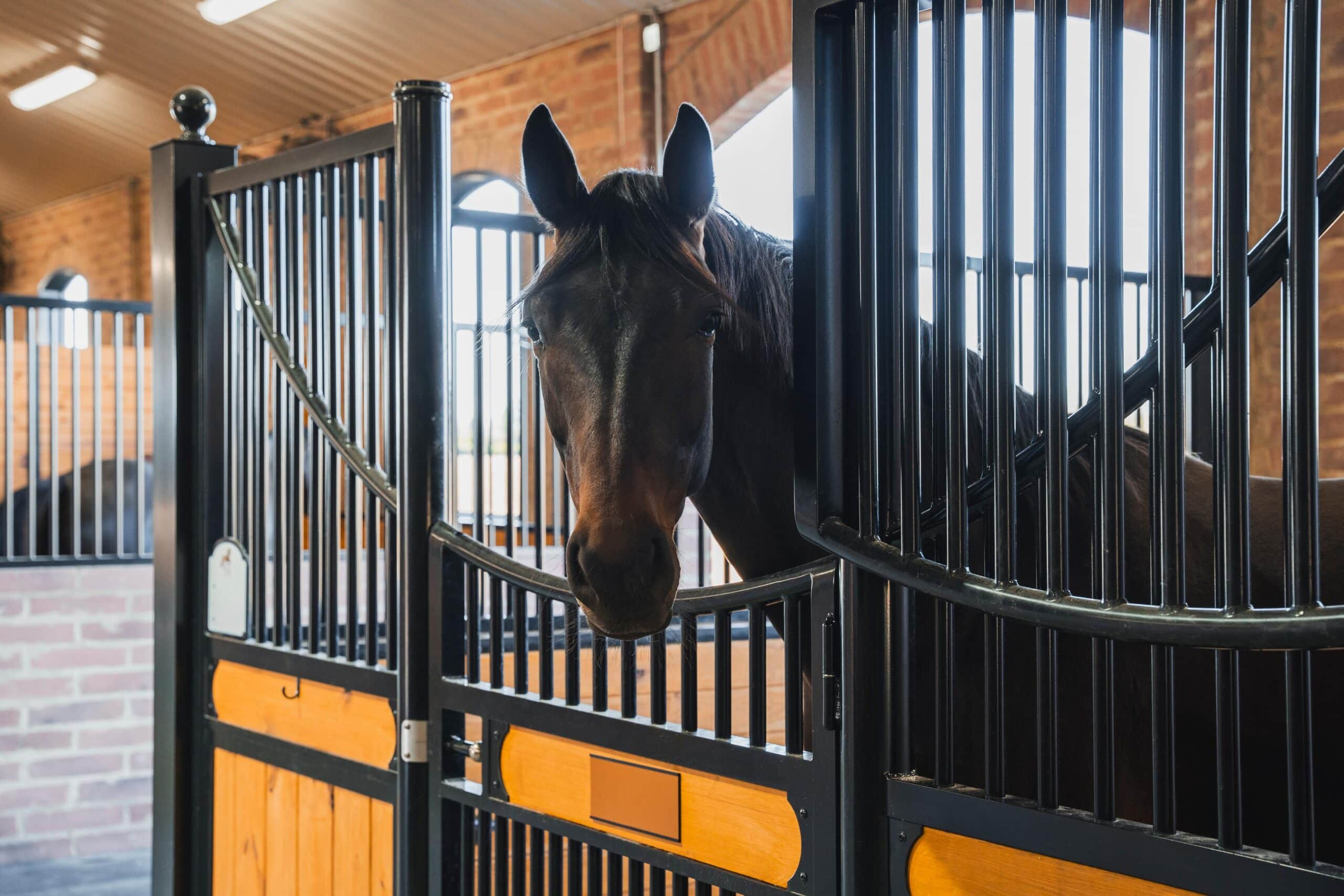 Appreciation of Horse Stall Products