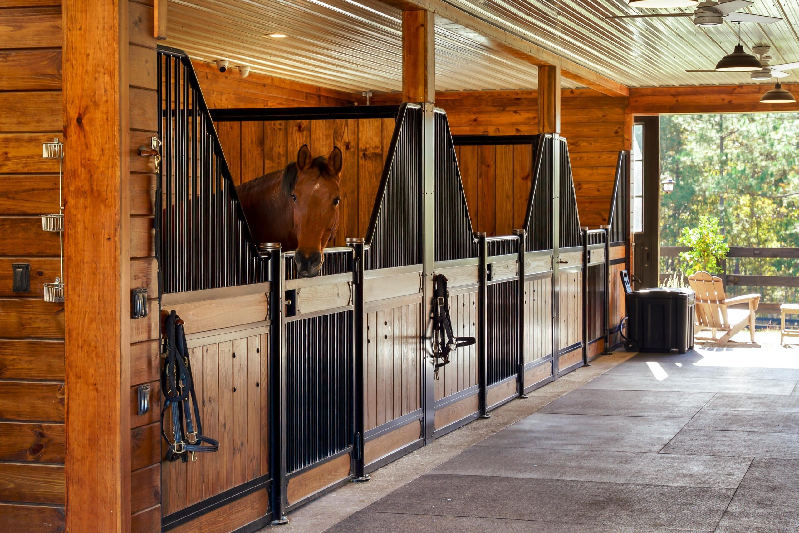 Appreciation of Horse Stall Products